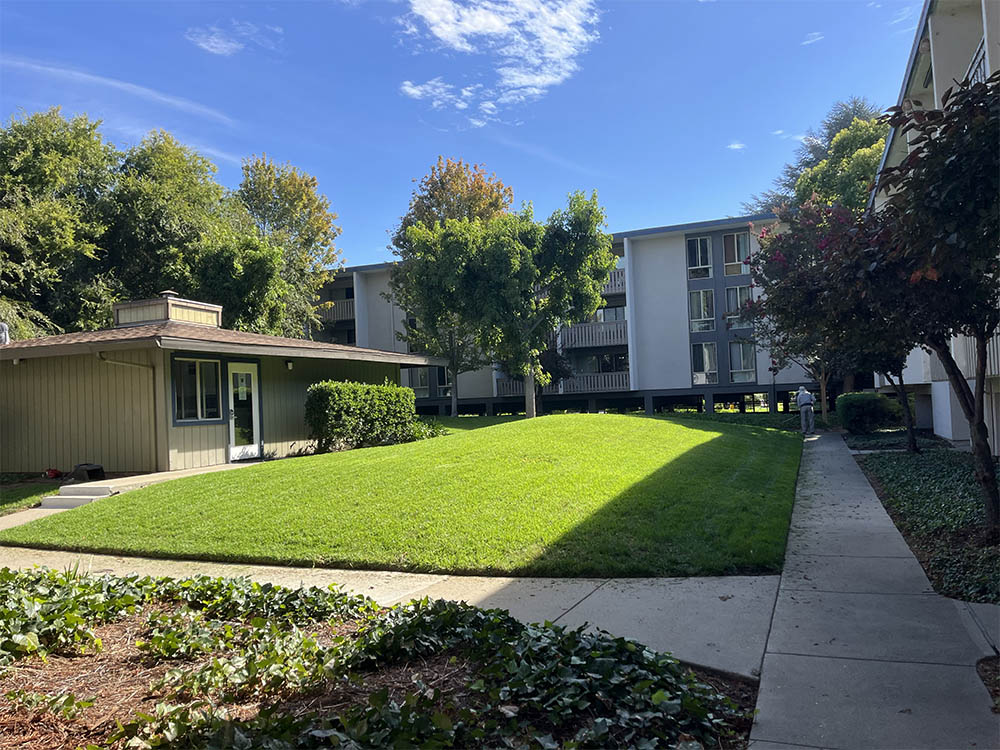 Garden and trees care for estates properties, Woodside