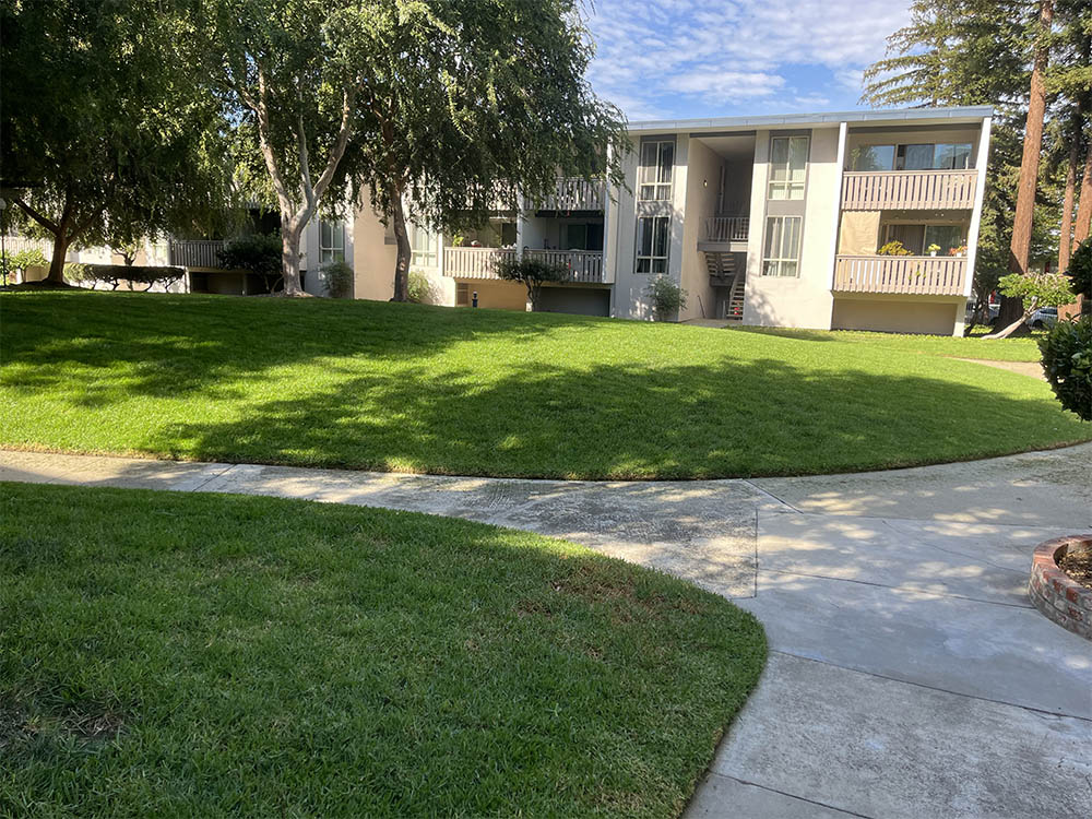 Appartments commervcial property with its green cared lawn and walking paths in San Jose.