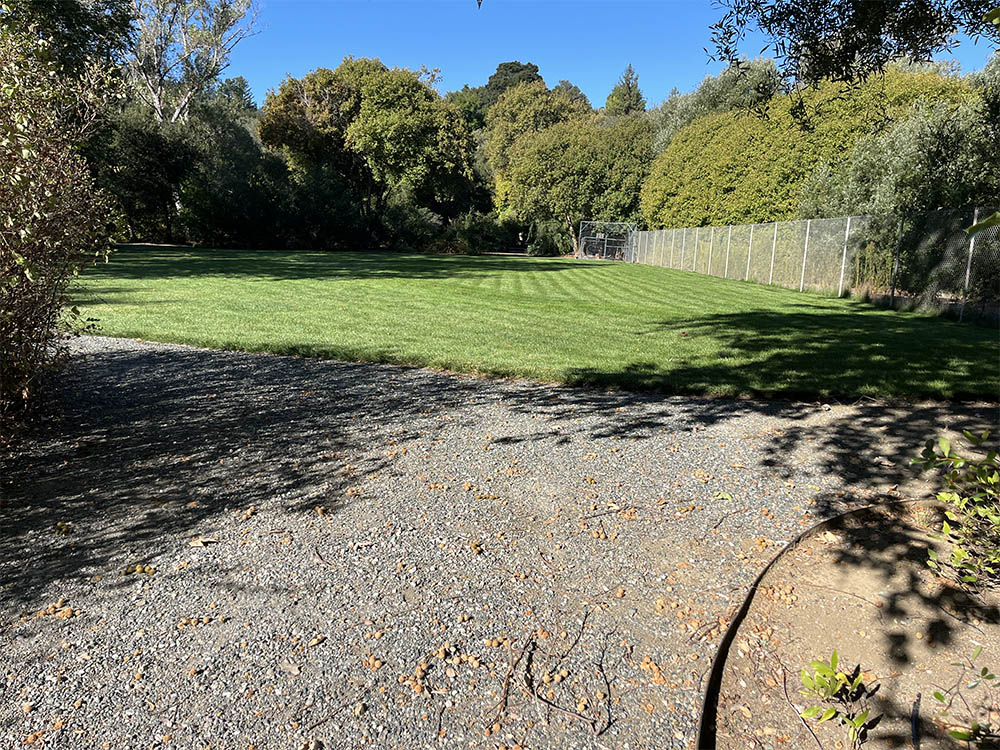 Just maintained green lawn and gravel path in Portola Valley.